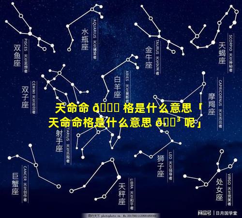 天命命 🍀 格是什么意思「天命命格是什么意思 🐳 呢」